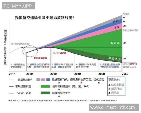 大化篮球明星的崛起之路与未来发展展望分析